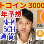 2021年末ビットコイン3000万円の予想【仮想通貨BTC, XRP, NEM, BCH相場分析】