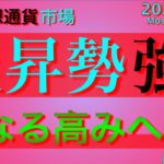 【ビットコイン＆イーサリアム＆リップル】日経平均29年ぶり高値！仮想通貨市場まだまだ強いか。直近戦略解説！