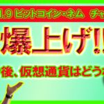 【ビットコイン・ネムチャート分析】株価爆上げ！仮想通貨・ゴールドは5％下落。ビットコイン強気の理由。【202011.10】