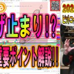 【仮想通貨・ビットコイン】急落から落ち着きを取り戻したBTC!!次の展開の重要ポイントを解説!!