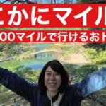 【お得】どこかにマイルで旅行します！旅行編