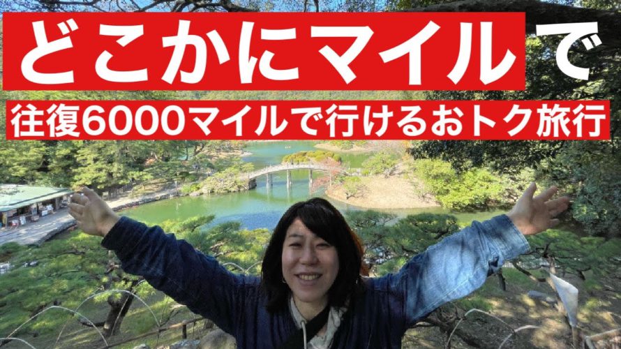 【お得】どこかにマイルで旅行します!旅行編