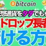 仮想通貨をタダでもらって儲ける方法【2020年12月11日】BTC、ビットコイン、相場分析、XRP、リップル、仮想通貨、暗号資産、爆上げ、暴落、NYダウ、日経平均、株価