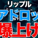 リップルのエアドロップで爆上げか？【2020年12月8日】BTC、ビットコイン、相場分析、XRP、リップル、仮想通貨、暗号資産、爆上げ、暴落、NYダウ、日経平均、株価