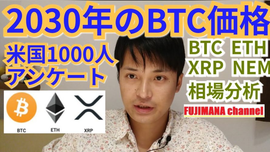 【ビットコイン,リップル,ネム,イーサリアム相場分析】2030年のBTC価格は⁉️米国1000人アンケート