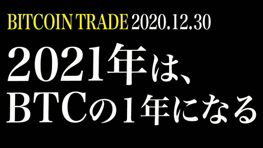 【BTCラスト】2021年はビットコインの1年になる!年内30000ドルに期待!1年間お疲れ様でした!【ビットコイン 仮想通貨相場分析・毎日更新】