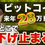 【ビットコイン＆ネム＆リップル＆イーサリアム】仮想通貨市場どこまで下げる？？高材料続出の中、直近相場と戦略について