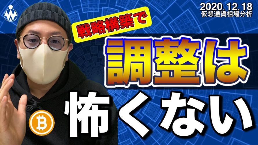 【ビットコイン&イーサリアム&ネム&リップル】調整はくるのか。アルトコインバブルは?戦略的に利益をつかむ!