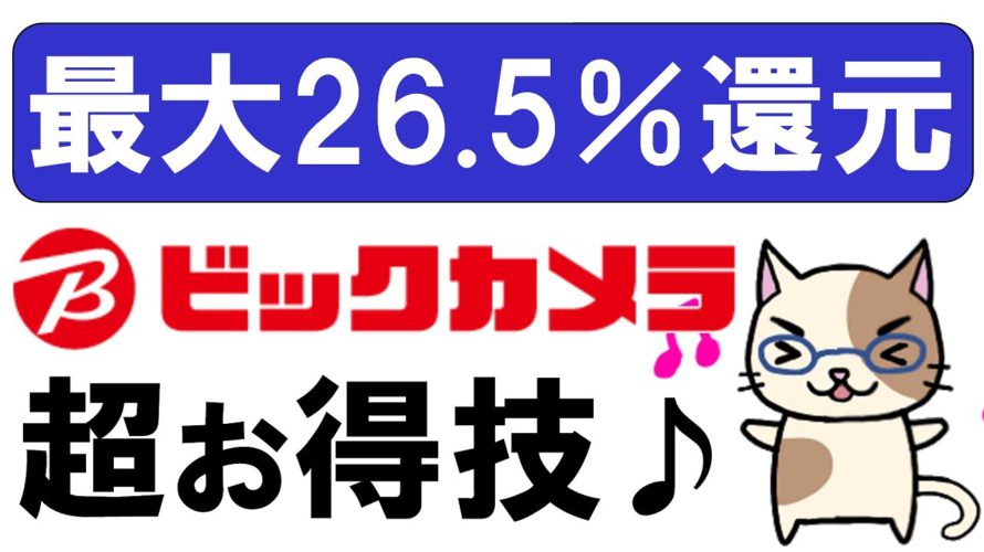 【お得情報】楽天ポイント&ビックカメラポイント大量ゲット☆ビックカメラに行く前に必ず見てください!