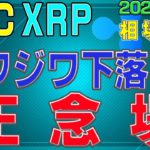 【ビットコイン＆リップル】仮想通貨　ジワジワ下落中。ここが正念場。〈今後の値動きを初心者にもわかりやすくチャート分析〉２０２０．１２．５