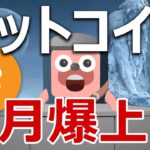 ビットコインは1月に爆上げ、天井どちらなのか当てます