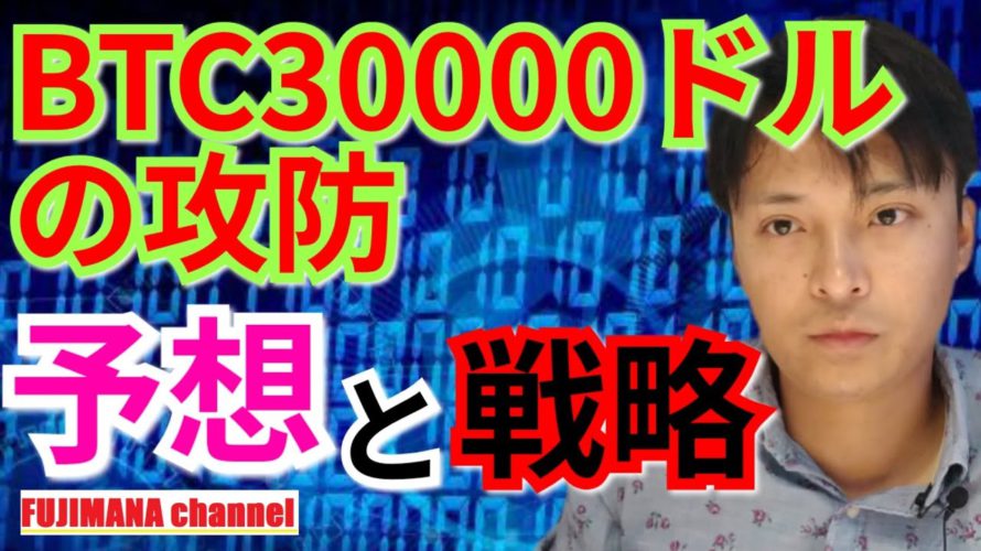 【仮想通貨BTC, XRP, ETH, NEM相場分析】BTC30000ドルの攻防‼️予想と戦略😎