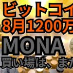 【仮想通貨ビットコイン, イーサリアム, リップル, モナコイン, NEM, DOT, IOST】BTCは8月1200万円?!MONAの買い場は待て