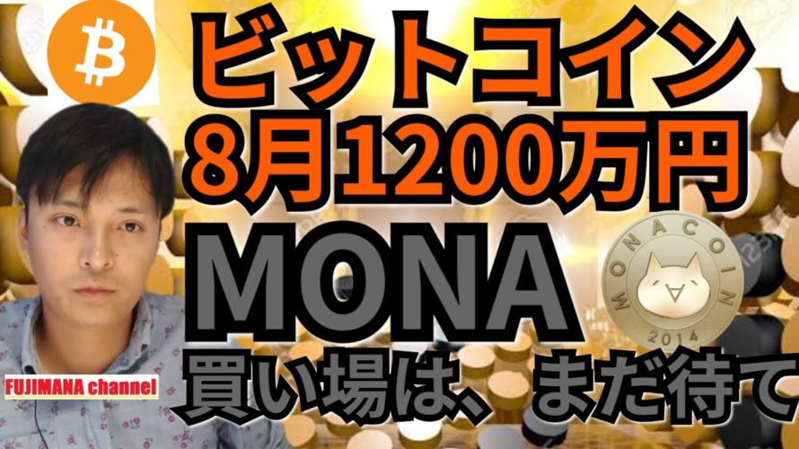 【仮想通貨ビットコイン, イーサリアム, リップル, モナコイン, NEM, DOT, IOST】BTCは8月1200万円?!MONAの買い場は待て