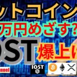 【仮想通貨ビットコイン, リップル, イーサリアム, ポルカドット, NEM, IOST, 】BTC再び500万円めざす？IOST＆DOTが爆上げ