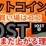 【仮想通貨ビットコイン, イーサリアム, リップル, ポルカドット, NEM, IOST】ビットコイン次の買い場はココ‼️IOSTがまだまだ上がる理由