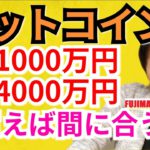 【仮想通貨ビットコイン, リップル, イーサリアム, NEM, LTC, IOST】BTC4月1000万円、5月4000万円⁉️今買えば間に合う