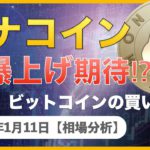 【BTC、XRP、ETH、XEM、MONA】モナコインの爆上げに期待⁉︎ ビットコインの次の買い場はどこ？【1月11日 相場解説】