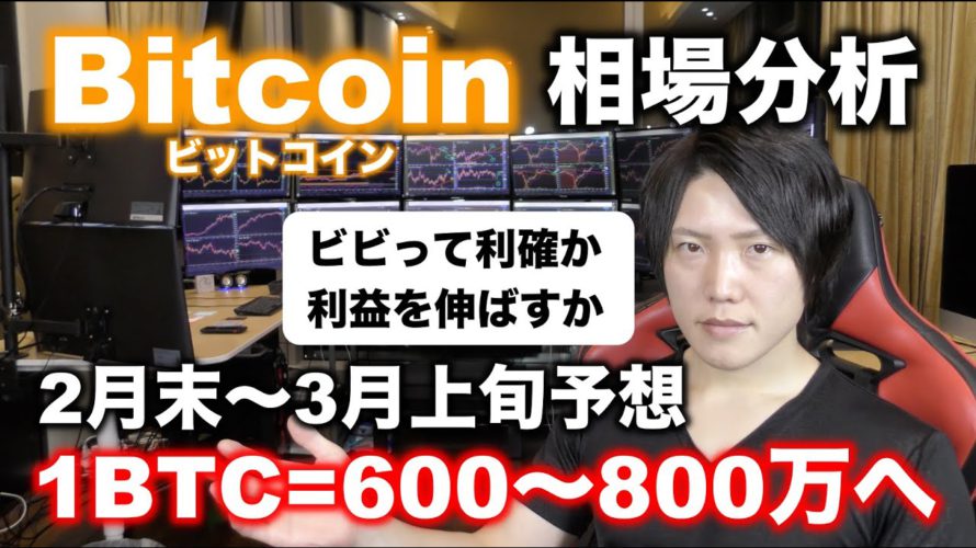 ビットコイン2月末〜3月上旬予想価格600〜800万円。バブル崩壊に警戒しつつもまだまだ上昇すると考える理由。アルトも放置で上がる予想。