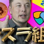 ビットコイン爆上げ！テスラ砲で5000ドル上昇！興奮で全く分析できてません。ごめんなさい！！！