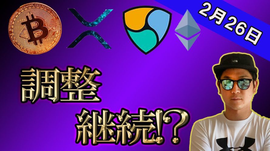 ビットコイン調整継続か!?ネムは下げ止まり一番乗り!?【BTC、イーサリアム、IOST、BNB、リップル】