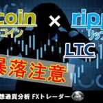 【BTC×XRP×LTC×BCH テクニカル分析】仮想通貨相場 大暴落間近！楽観から悲観へ。ビットコイン×リップル×ライトコイン×ビットコインキャッシュ分析