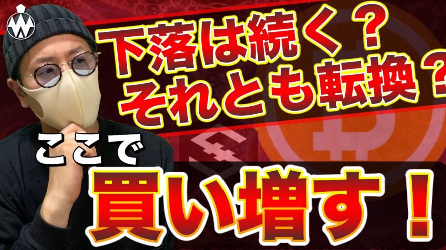 【ビットコイン＆IOST＆LTC＆BCH＆XRP＆MONA＆ETH】急落もチャンス？日経3万円突破！ここからの買い場と戦略について