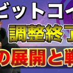 【ビットコイン＆エンジンコイン＆IOST＆NEM＆XRP＆ETH＆LTC】強気相場は戻るのか。次の展開と戦略について