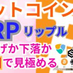 【仮想通貨ビットコイン, リップル, イーサリアム, NEM, XLM, IOST】BTC＆XRP爆上げか下落か、ココで見極める