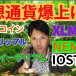 【仮想通貨ビットコイン, リップル, イーサリアム, XLM, NEM, IOST】仮想通貨爆上げ祭🎊🎉💐