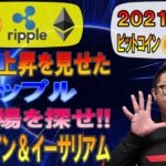 【ビットコイン＆イーサリアム＆リップル】大きな上昇を見せたXRP!!買い場を探せBTC＆ETH!!