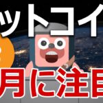 ビットコインの２月の価格がどうなるか当てます！