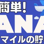 簡単すぎ！ANAマイルの貯め方｜初心者でも裏ワザ不要で年間50万マイル貯める方法