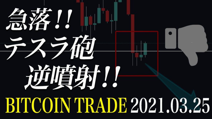 【ビットコイン急落】テスラ砲が無念の逆噴射!【BTC 仮想通貨相場分析・毎日更新】