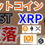 【仮想通貨BTC, ETH, XRP, BCH, NEM, IOST】PayPal決済スタートだが、急落でどうなる⁉️