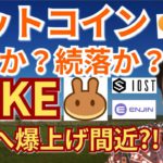 【仮想通貨BTC, ETH, XRP, NEM, IOST, CAKE, ENJ】ビットコイン反発か⁉️続落か⁉️Pancake Swap30＄へ爆上げ寸前⁉️