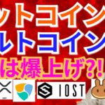 【仮想通貨BTC, ETH, XRP, NEM, IOST, CAKE, LINK】ビットコイン＆アルトコイン、4月は爆上げ⁉️