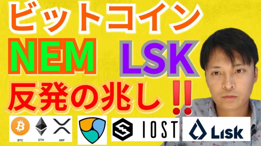 【仮想通貨BTC, ETH, XRP, NEM, IOST, LSK】ビットコイン、ネム、リスク、反発の兆し‼️