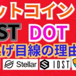 【仮想通貨BTC, ETH, XRP, XLM, DOT, NEM, IOST】ビットコイン、IOST, ポルカドット爆上げ目線の理由