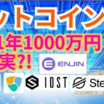 【仮想通貨BTC, ETH, XRP, XLM, ENJ, NEM, IOST相場分析】ビットコイン2021年1000万円は確実?!