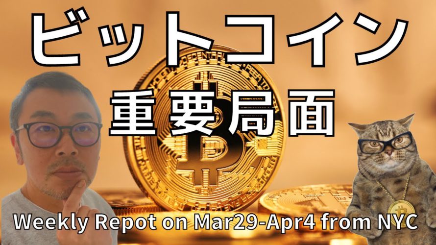 📢ビットコイン重要局面📢BTC,ETH,ADA,XRP,IOST,DOGE📈🏃‍♀️🏃‍♂️🏃‍♀️トータルマーケットキャップとビットコインヒートマップ解説🔥3/21~4/4ウィークリーレポート👊🚀
