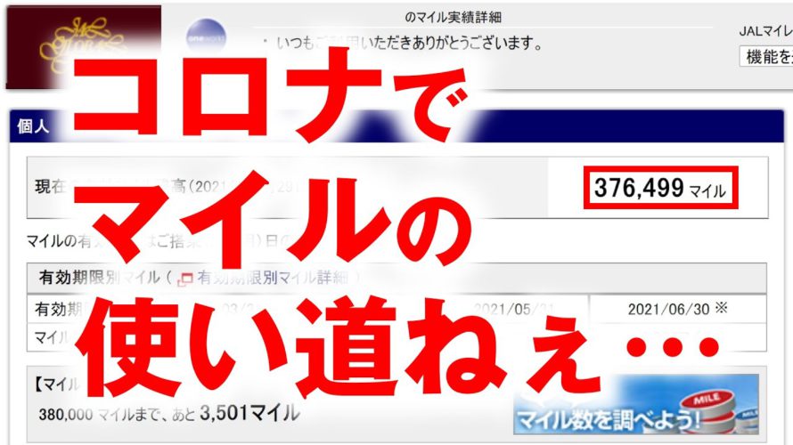 コロナ禍でのマイルの使い道。一番お得な使い方は?【JAL】