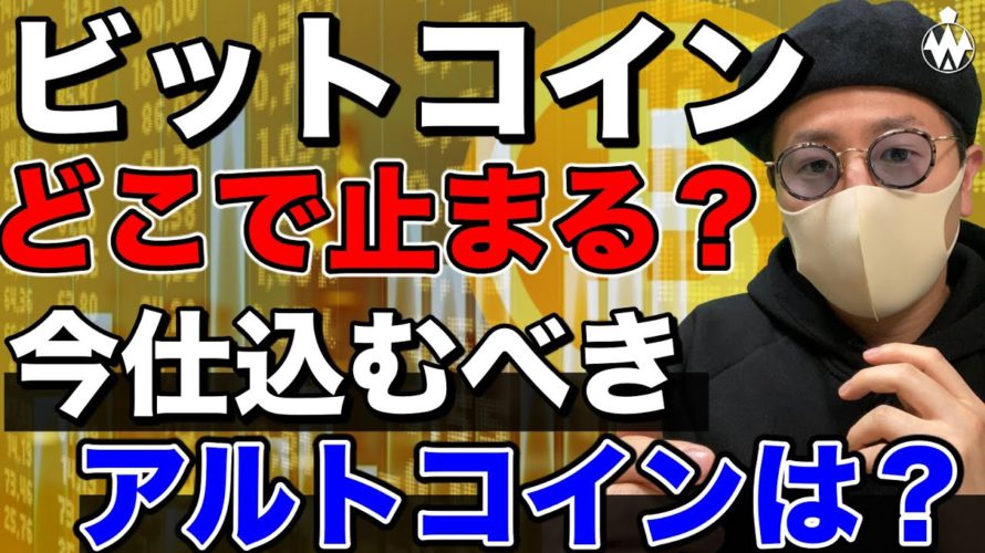 【ビットコイン&LSK&DOT&XRP&ETH&QTUM&BAT】BTC急落!どこまで続く?今仕込むべきアルトコインは?