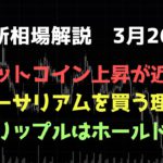 ビットコインはそろそろ上昇｜イーサリアムを買う理由｜リップルは売らない｜ビットコイン、イーサリアム、リップルの値動きを解説