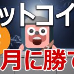 ビットコインは４月に勝て！クジラがやばい事になっている