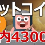 ビットコインは年内に4300万円まで爆上げるのか？