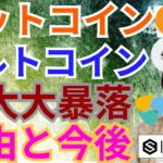 【仮想通貨BTC, ETH, XRP, BCH, IOST, NEM】大大大暴落‼️理由と今後