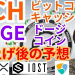 【仮想通貨BTC, ETH, XRP, BCH, IOST, XEM, DOGE】ビットコインキャッシュ＆ドージコイン爆上げ後の予想