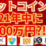 【仮想通貨BTC, ETH, XRP, BCH, NEM, IOST】ビットコイン2021年中に4400万円‼️⁉️