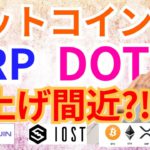 【仮想通貨BTC, ETH, XRP, ENJ, IOST, DOT】ビットコイン、リップル、ポルカドット爆上げ間近⁉️